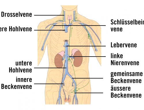 Venenpflege